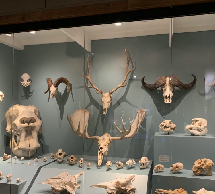 KU Natural History Museum--Dyche Hall (Lawrence,&nbspKS)